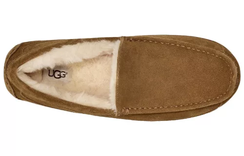 UGG Ascot Slipper Chestnut sneaker – termékfotó, oldalnézet